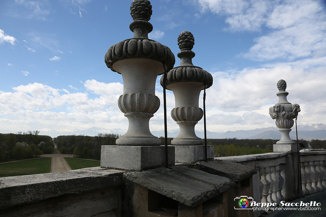 VBS_5964 - Sotto il Cervo - Palazzina di Caccia di Stupinigi.jpg